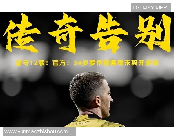 中国足球冠军的辉煌历程与未来展望:从历史到梦想的追逐之路