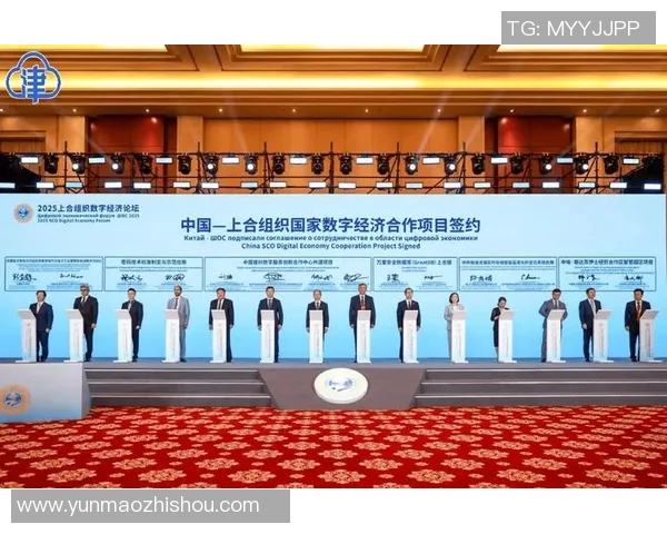 中国与土耳其的较量：文化交流与经济合作的新机遇与挑战